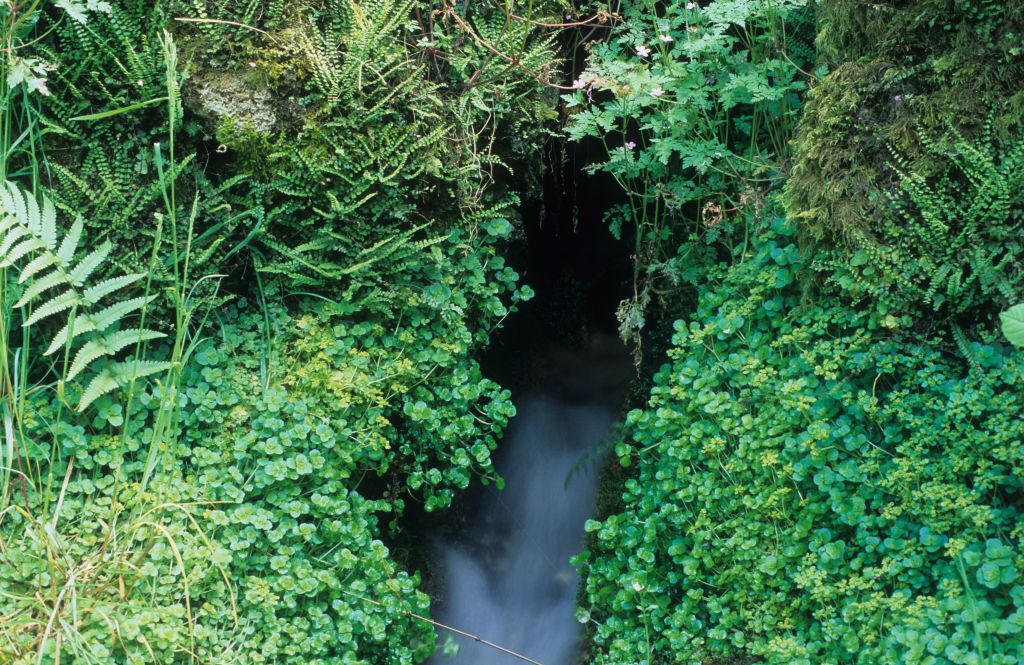 2009, May - natural well